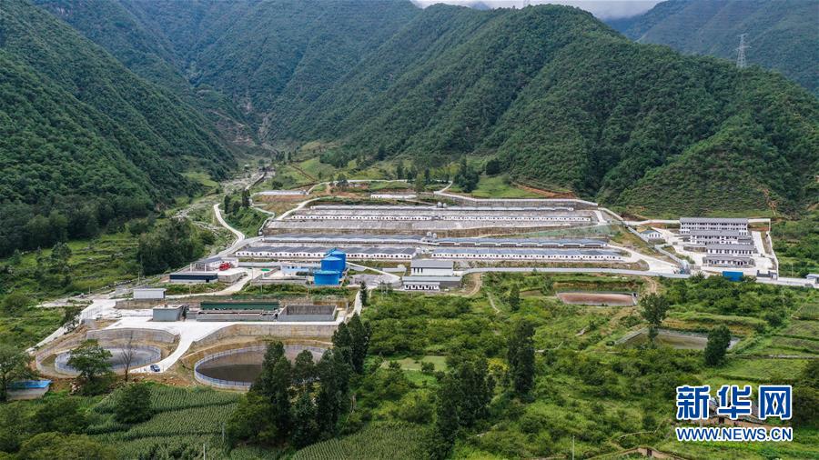 （决战决胜脱贫攻坚·督战未摘帽贫困县·图文互动）（2）“烂坝”变身记——大凉山扶贫产业掠影